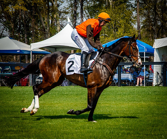 Horses-9293