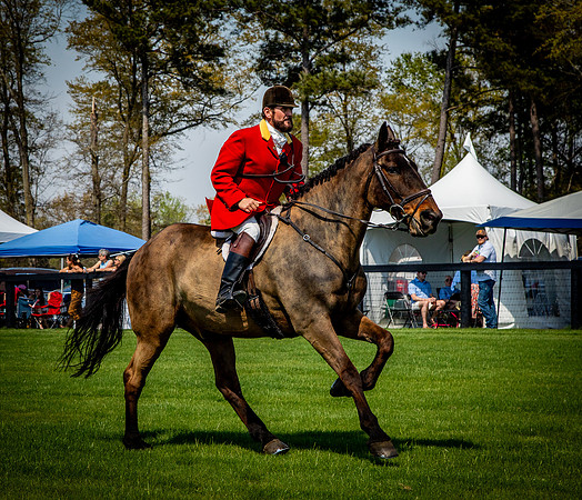 Horses-9301