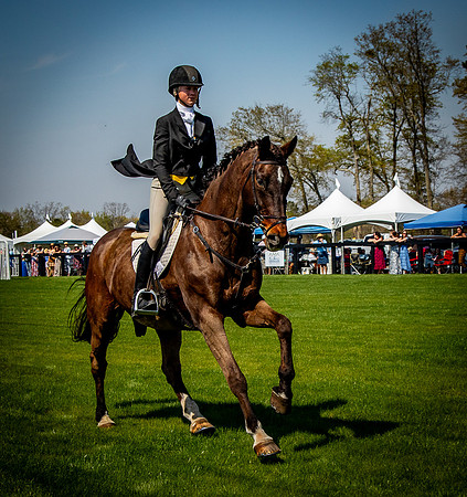 Horses-9319