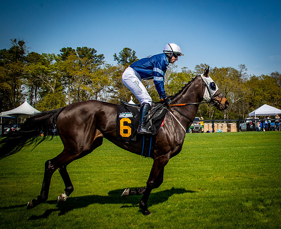 Horses-9316