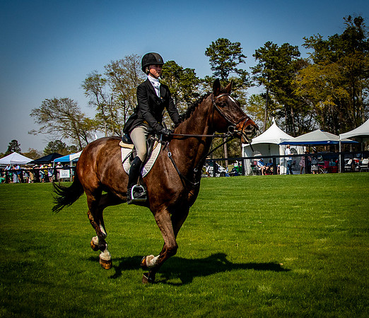 Horses-9320