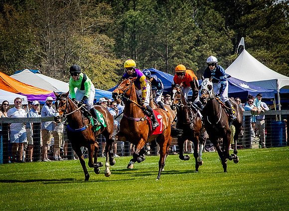Horses-9325