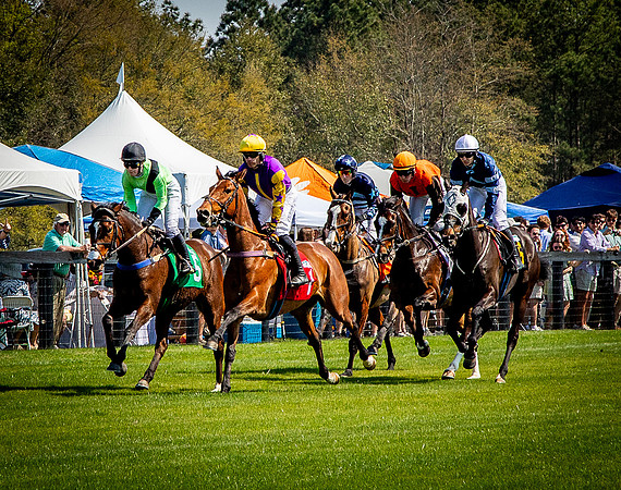 Horses-9326