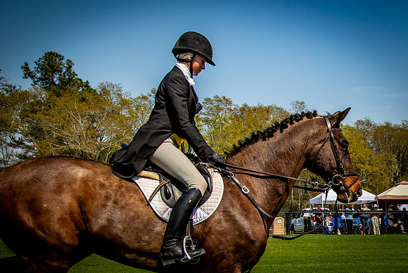 Horses-9322