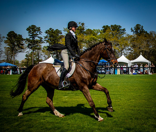 Horses-9321
