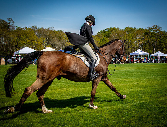 Horses-9323