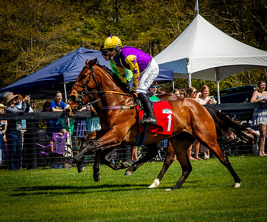 Horses-9332