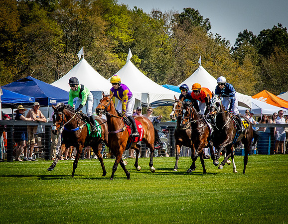Horses-9327
