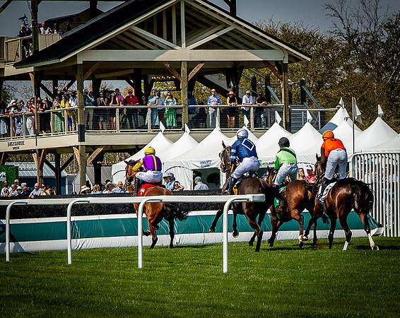 Horses-9340