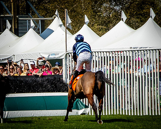 Horses-9341