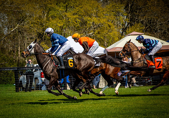 Horses-9334