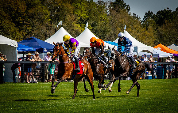 Horses-9352