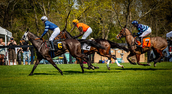 Horses-9335