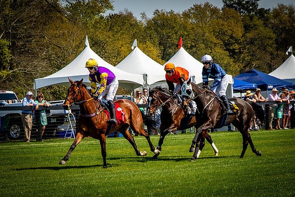 Horses-9353