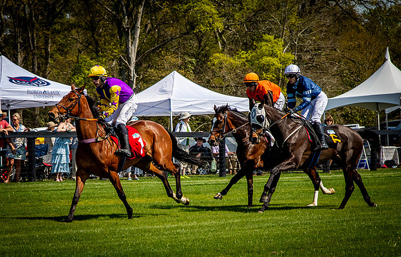 Horses-9354