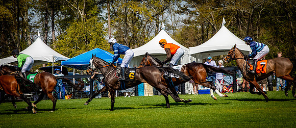 Horses-9336