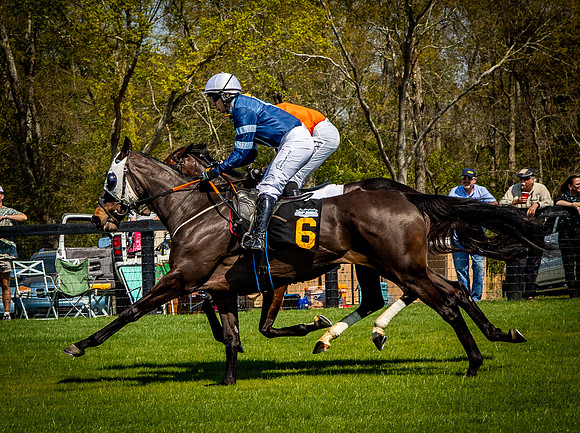 Horses-9357