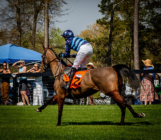Horses-9360