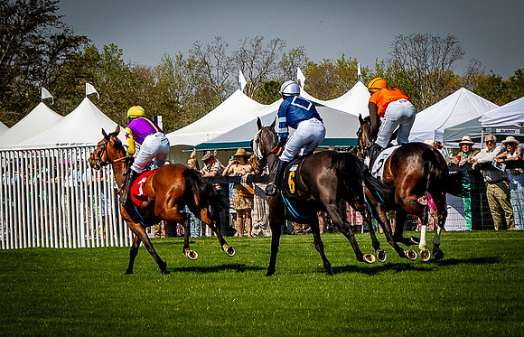 Horses-9361