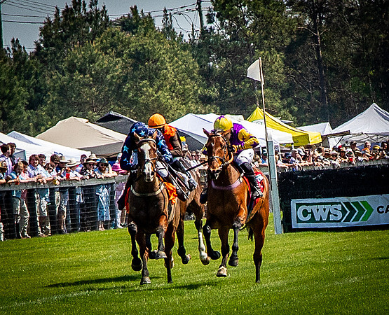 Horses-9378