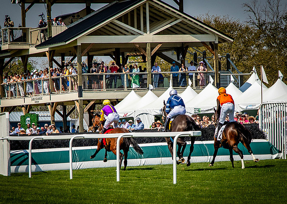 Horses-9362