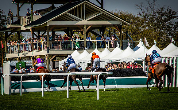 Horses-9363