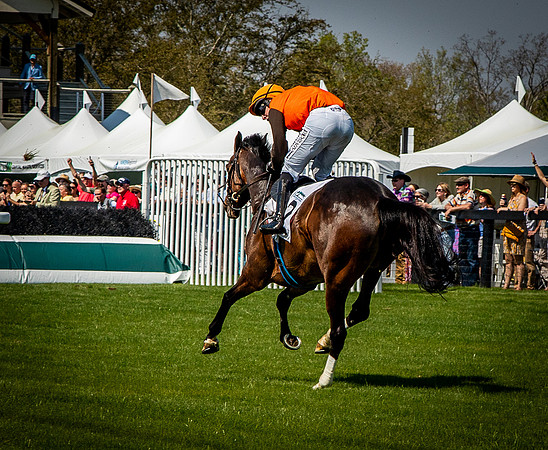 Horses-9393