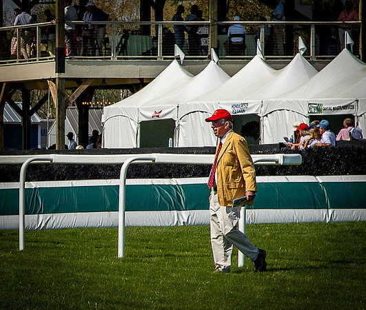 Horses-9404