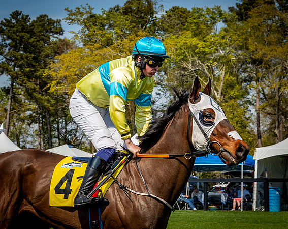 Horses-9412