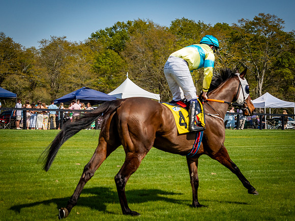 Horses-9414