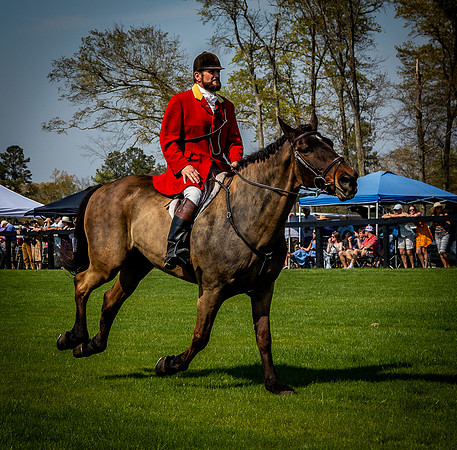 Horses-9429