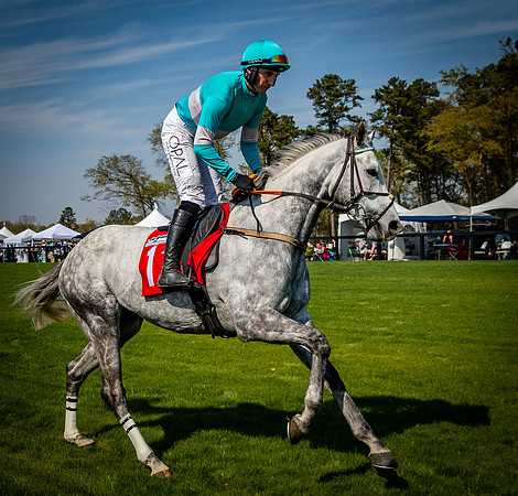 Horses-9427