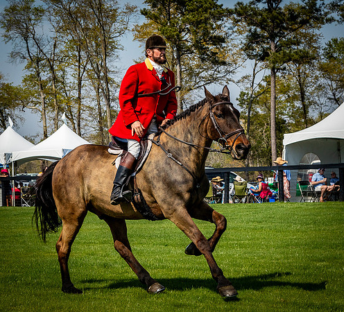 Horses-9430