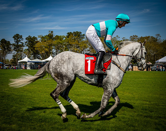 Horses-9428
