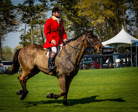 Horses-9431