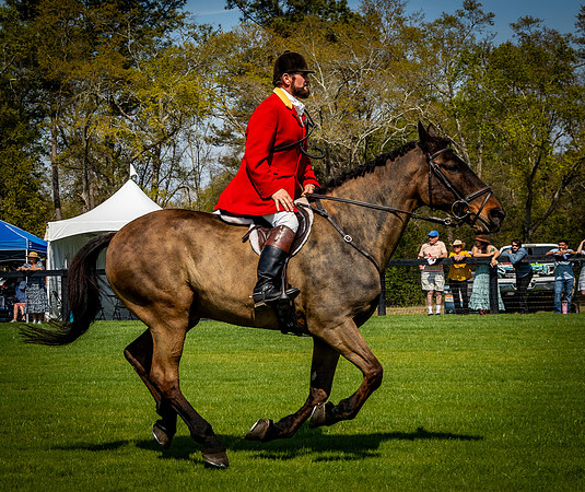 Horses-9433