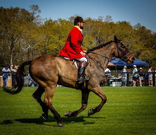Horses-9435
