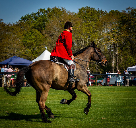 Horses-9437