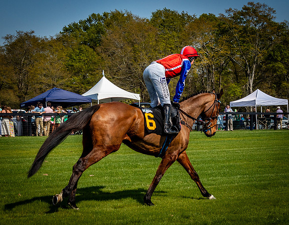 Horses-9440