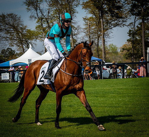Horses-9452
