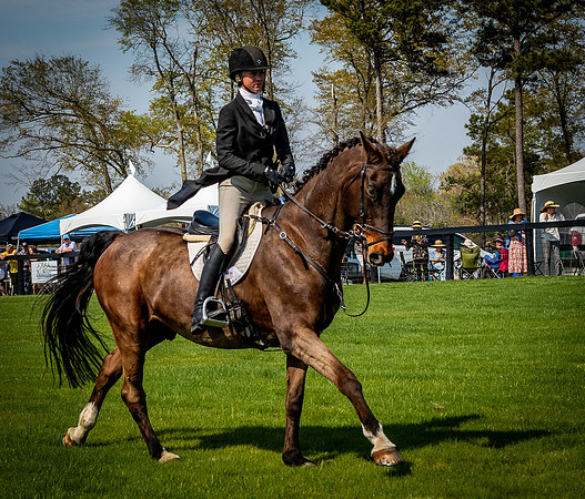 Horses-9457