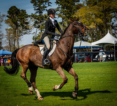 Horses-9458
