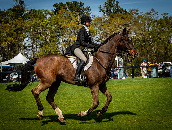 Horses-9460