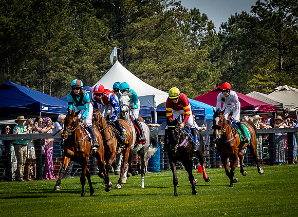 Horses-9471