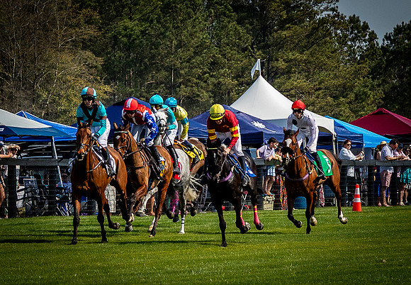 Horses-9472