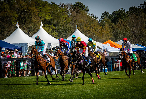 Horses-9474