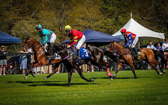 Horses-9478