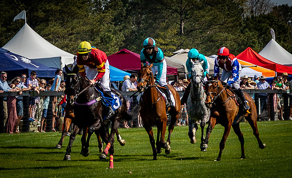 Horses-9492