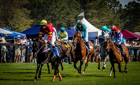 Horses-9493
