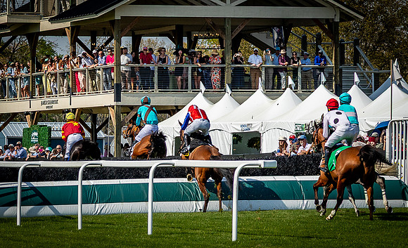 Horses-9485